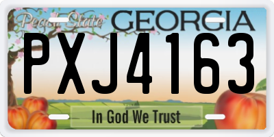 GA license plate PXJ4163
