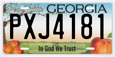 GA license plate PXJ4181
