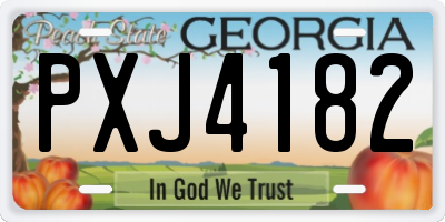 GA license plate PXJ4182