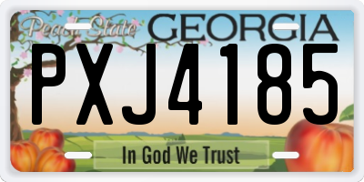 GA license plate PXJ4185