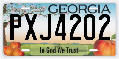 GA license plate PXJ4202