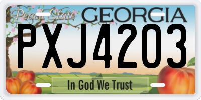 GA license plate PXJ4203