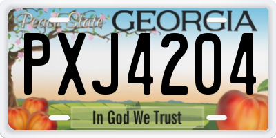 GA license plate PXJ4204