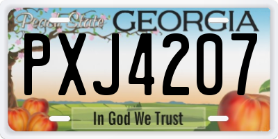 GA license plate PXJ4207