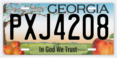 GA license plate PXJ4208