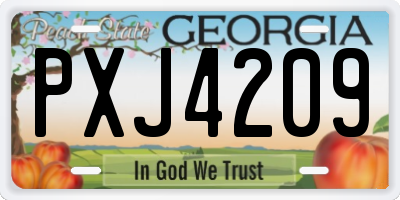 GA license plate PXJ4209