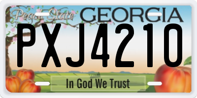 GA license plate PXJ4210