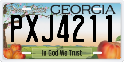 GA license plate PXJ4211