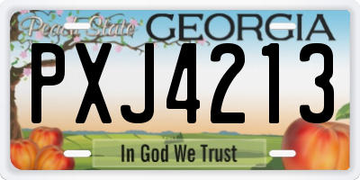 GA license plate PXJ4213
