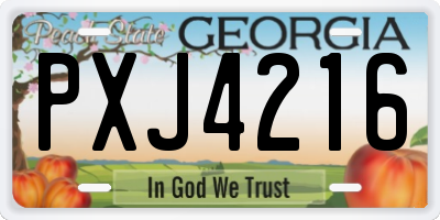 GA license plate PXJ4216