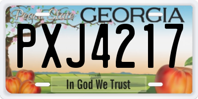 GA license plate PXJ4217