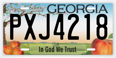 GA license plate PXJ4218