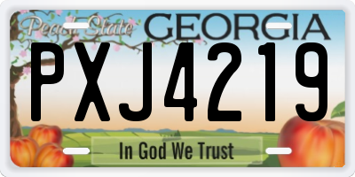 GA license plate PXJ4219