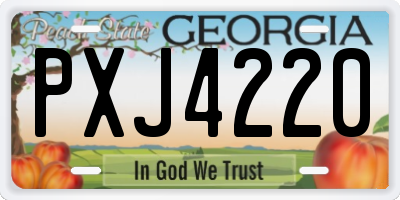 GA license plate PXJ4220