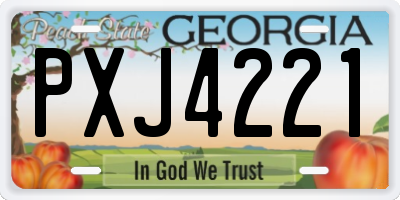 GA license plate PXJ4221