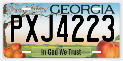 GA license plate PXJ4223