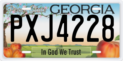 GA license plate PXJ4228