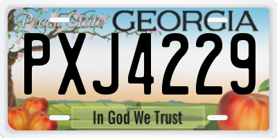 GA license plate PXJ4229