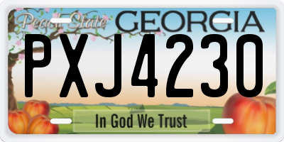 GA license plate PXJ4230