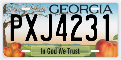 GA license plate PXJ4231