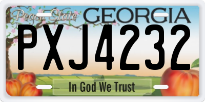 GA license plate PXJ4232