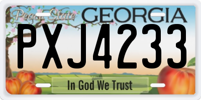 GA license plate PXJ4233