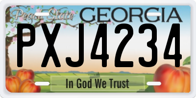 GA license plate PXJ4234
