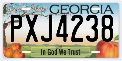 GA license plate PXJ4238