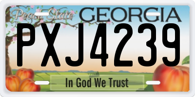 GA license plate PXJ4239