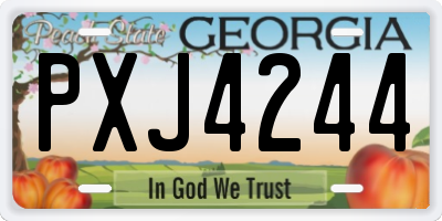 GA license plate PXJ4244