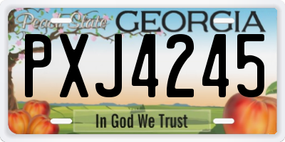 GA license plate PXJ4245