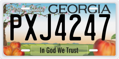 GA license plate PXJ4247