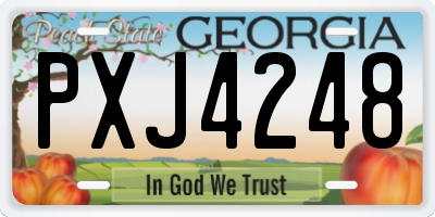 GA license plate PXJ4248