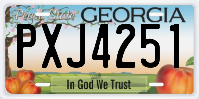 GA license plate PXJ4251