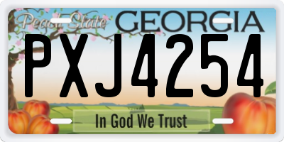 GA license plate PXJ4254