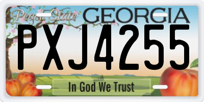 GA license plate PXJ4255