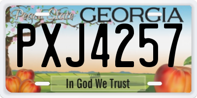 GA license plate PXJ4257