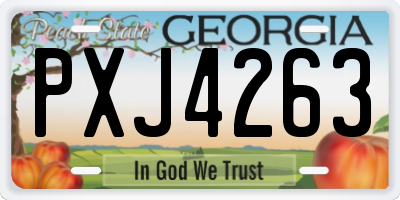 GA license plate PXJ4263