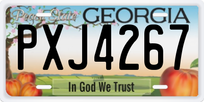 GA license plate PXJ4267