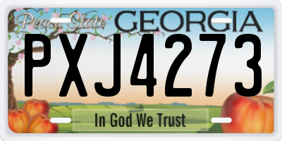 GA license plate PXJ4273