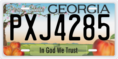 GA license plate PXJ4285