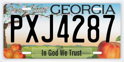 GA license plate PXJ4287