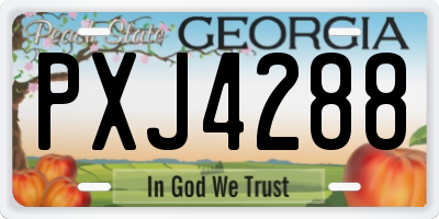 GA license plate PXJ4288