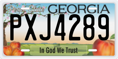 GA license plate PXJ4289
