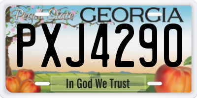 GA license plate PXJ4290