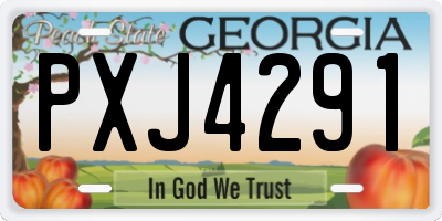 GA license plate PXJ4291