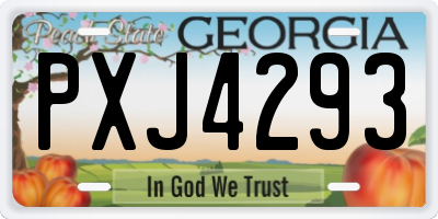 GA license plate PXJ4293