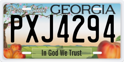 GA license plate PXJ4294