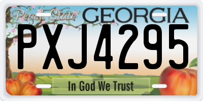 GA license plate PXJ4295