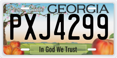 GA license plate PXJ4299